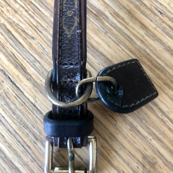 Authentic Louis Vuitton Dog Head Collar with Matching Leash - Small dogs - Picture 2 of 15